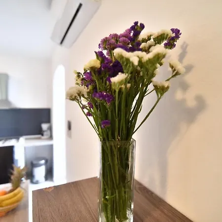 House Pedic Novigrad (Dalmatia)